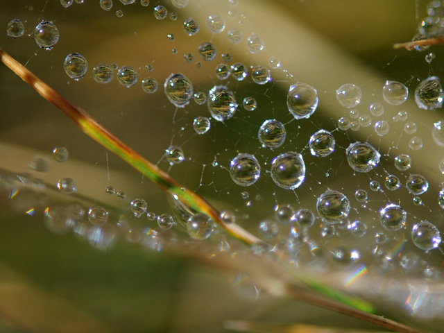 natur001